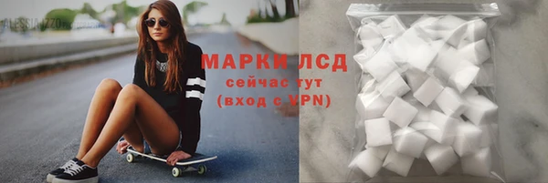 гидра Кулебаки