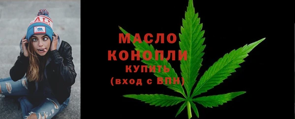 соль ск Кукмор