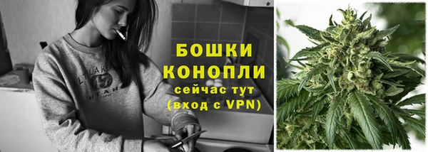 соль ск Кукмор