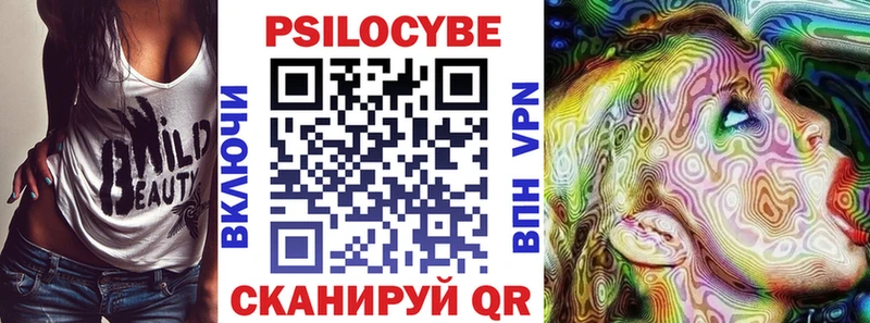 Купить закладки  Пионерский  Галлюциногенные грибы Cubensis 