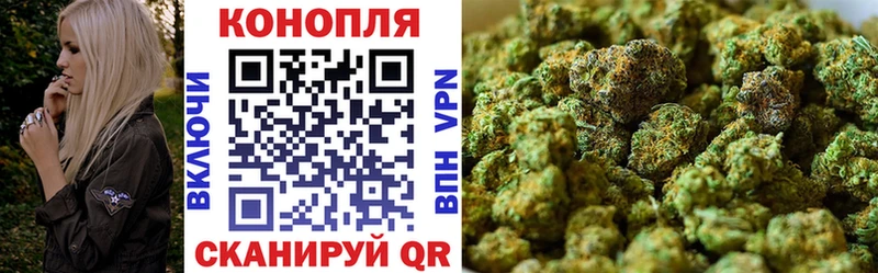 Купить  Пионерский  Бошки Шишки план 